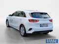 Kia Ceed / cee'd Vision NAVI^ RFK^ SHZ^ TEMPO^ KLIMA^ Klima Navi Weiß - thumbnail 3