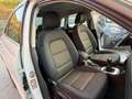 Audi Q3 2.0 tdi Business Plus 177cv - thumbnail 9