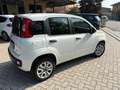 Fiat Panda 0.9 t.air t. natural power Lounge OK NEOPATENATO Wit - thumbnail 3