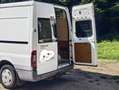 Ford Transit Transit FT 280 M Variobus 4.36 Trend Trend Weiß - thumbnail 4