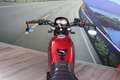 Benelli Leoncino 500 - 2022 - km 6669 Rouge - thumbnail 20