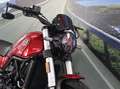 Benelli Leoncino 500 - 2022 - km 6669 Rosso - thumbnail 12