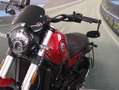 Benelli Leoncino 500 - 2022 - km 6669 Rosso - thumbnail 11
