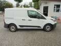Ford Transit Connect Kasten 1.5 TDCI ~ Motorschaden ~ Alb - thumbnail 3