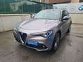 Alfa Romeo Stelvio Stelvio 2017 2.2 t Super Q4 210cv auto Grau - thumbnail 3