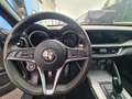 Alfa Romeo Stelvio Stelvio 2017 2.2 t Super Q4 210cv auto Grau - thumbnail 10
