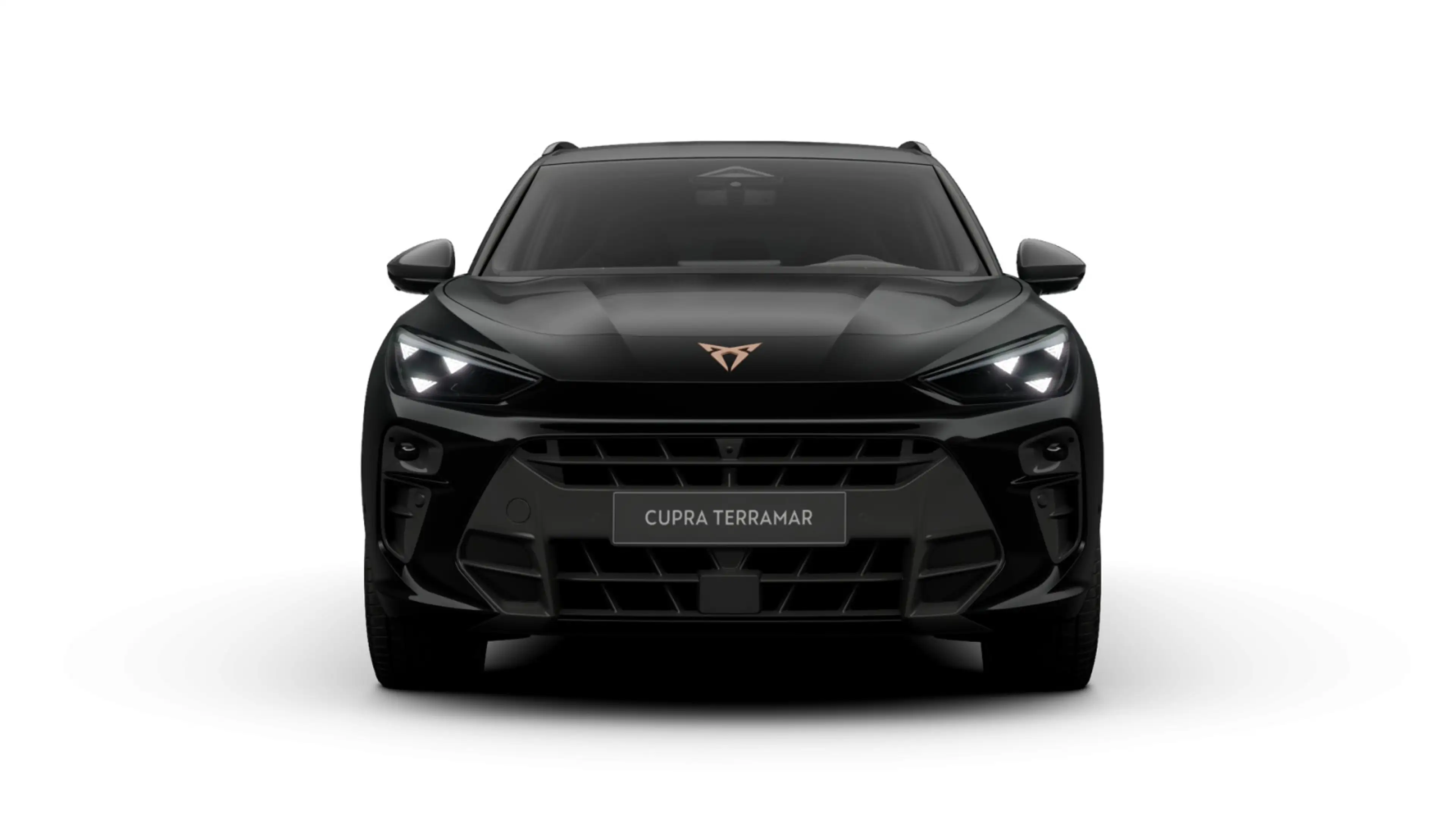 CUPRA Terramar VZ 2.0 TSI 195 kW (265 PS) AHK/Matrix — photo 4