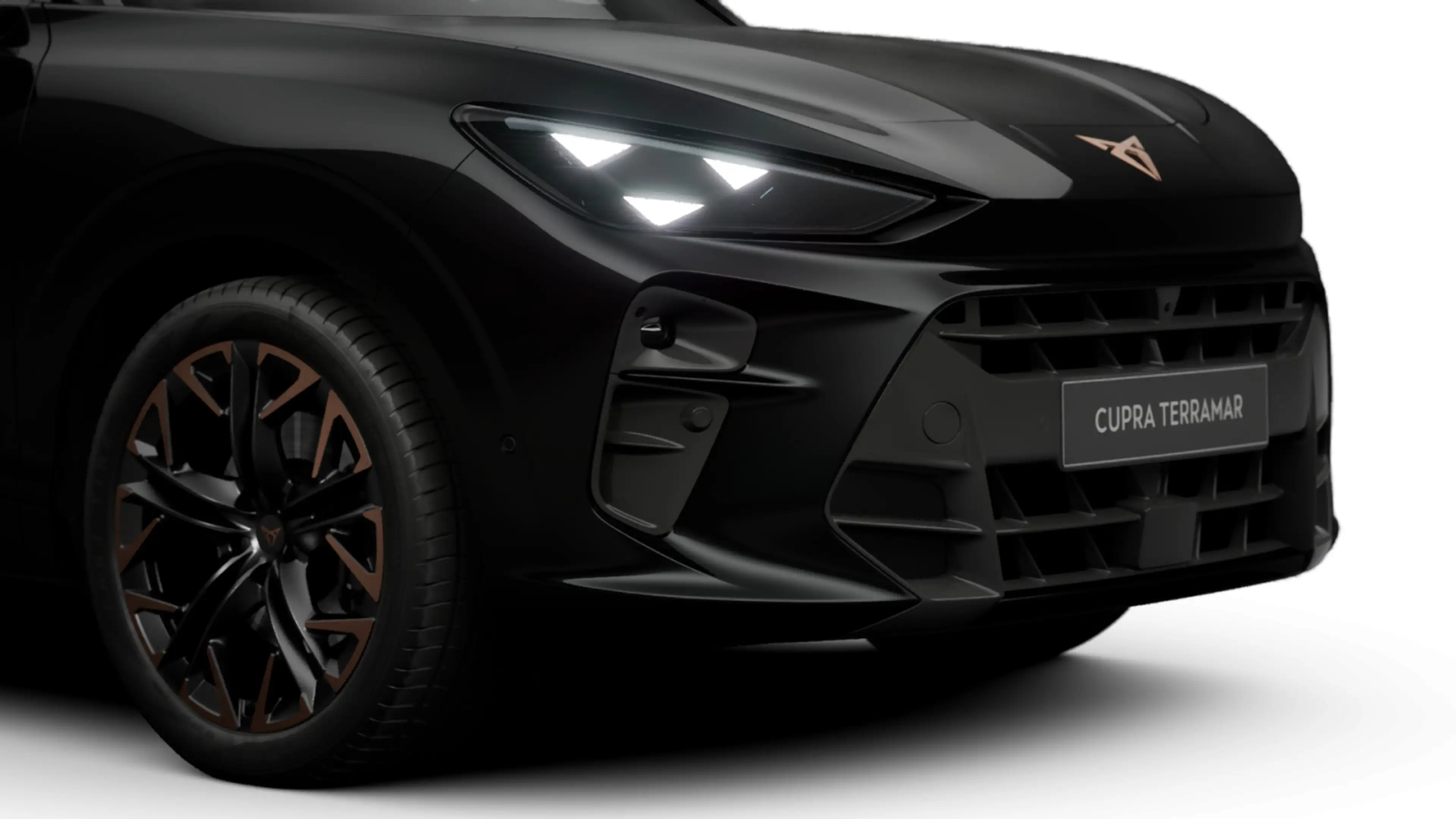 CUPRA Terramar VZ 2.0 TSI 195 kW (265 PS) AHK/Matrix — photo 9