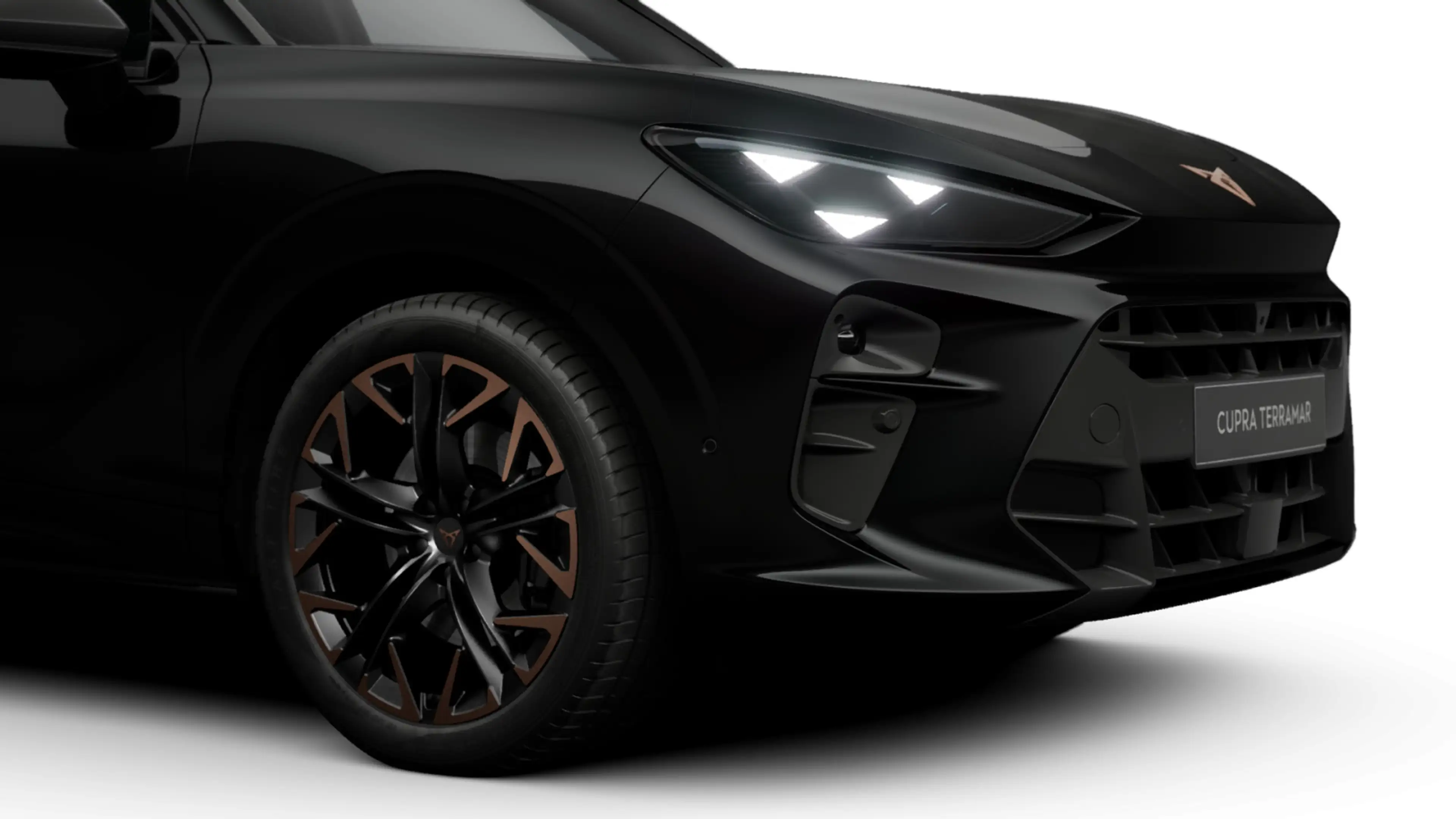 CUPRA Terramar VZ 2.0 TSI 195 kW (265 PS) AHK/Matrix — photo 5