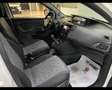 Lancia Ypsilon 1.2 69 CV 5 porte S&S Elefantino 2019 Blanc - thumbnail 14