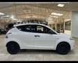 Lancia Ypsilon 1.2 69 CV 5 porte S&S Elefantino 2019 Blanc - thumbnail 8