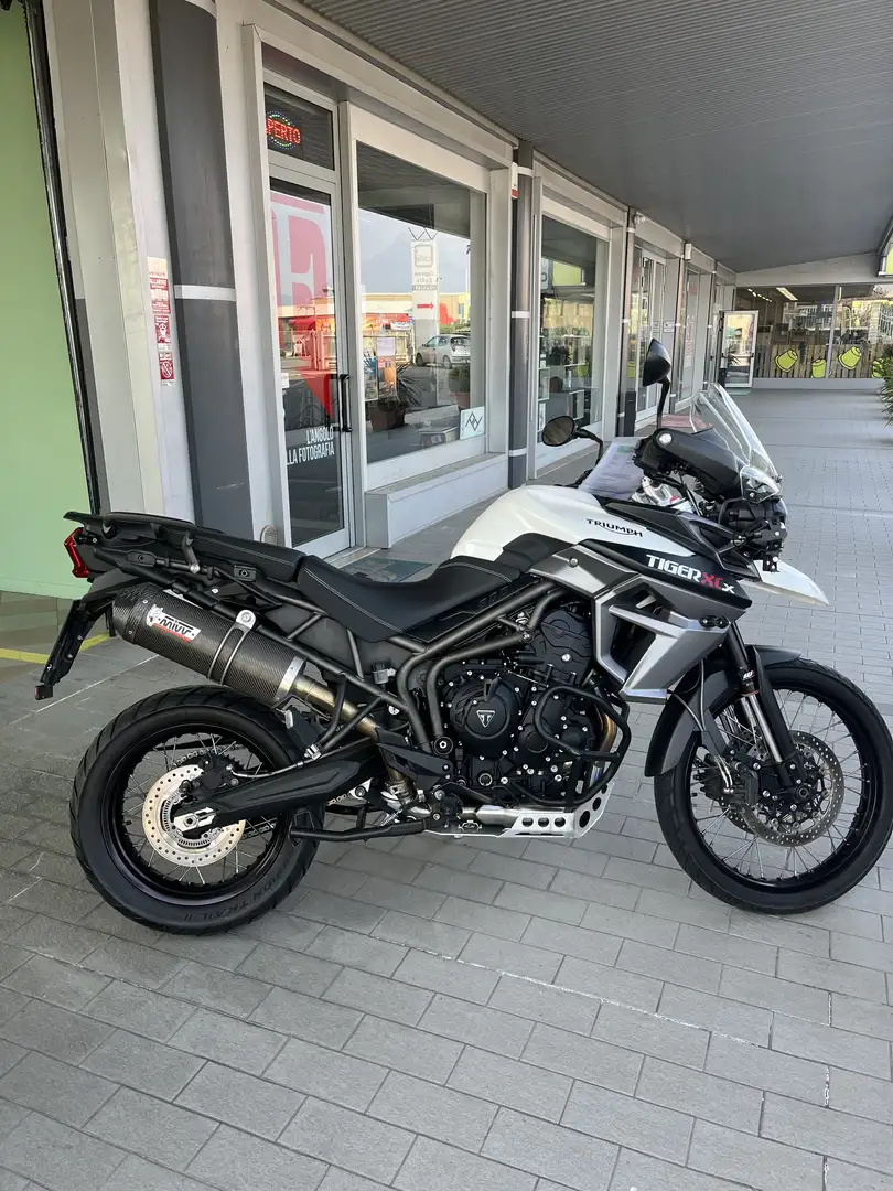 Triumph Tiger 800 Xcx - 1