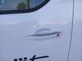 Fiat Scudo Non disponibile (507) Van Lounge L2h1 BevPacco Ba Bianco - thumbnail 11