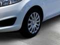 Ford Fiesta 1.25 Trend 44kw (60 PS) Білий - thumbnail 6