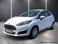 Ford Fiesta 1.25 Trend 44kw (60 PS) Білий - thumbnail 4