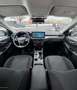 Ford Kuga 2,5 Duratec FHEV Titanium Allrad Aut. Grau - thumbnail 36