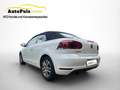 Volkswagen Golf Cabriolet +++Serviceheft +ARBÖ Pickerl NEU+ Sportsitze+++ Weiß - thumbnail 6