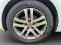 Volkswagen Golf Cabriolet +++Serviceheft +ARBÖ Pickerl NEU+ Sportsitze+++ Weiß - thumbnail 26