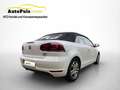 Volkswagen Golf Cabriolet +++Serviceheft +ARBÖ Pickerl NEU+ Sportsitze+++ Weiß - thumbnail 5