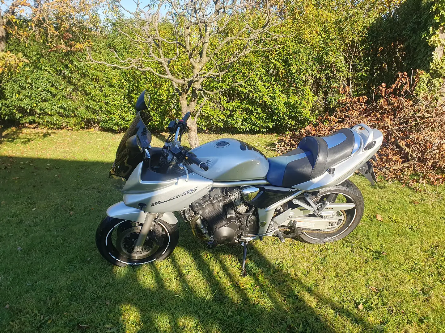 Suzuki Bandit 1200 Stříbrná - 1