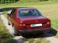 Mercedes-Benz 260 E-Klasse Rosso - thumbnail 11