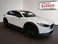 Mazda CX-30 G140 HOMURA BESTPREIS Weiß - thumbnail 15