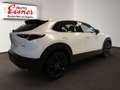 Mazda CX-30 G140 HOMURA BESTPREIS Weiß - thumbnail 13
