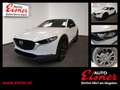 Mazda CX-30 G140 HOMURA BESTPREIS Weiß - thumbnail 1