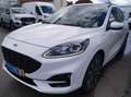 Ford Kuga Plug-In Hybrid ST-Line X mit AHK und Panoramadachh Weiß - thumbnail 8