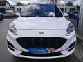Ford Kuga Plug-In Hybrid ST-Line X mit AHK und Panoramadachh Weiß - thumbnail 9