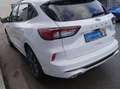 Ford Kuga Plug-In Hybrid ST-Line X mit AHK und Panoramadachh Weiß - thumbnail 7