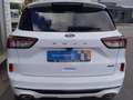Ford Kuga Plug-In Hybrid ST-Line X mit AHK und Panoramadachh Weiß - thumbnail 6