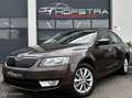 Skoda Octavia 1.6 TDI Trekhk Navi Clima Lage-Km Orig Nederlands! Brun - thumbnail 23