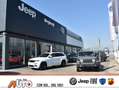 Jeep Avenger 1.2 T 100CV ALTITUDE Grau - thumbnail 26