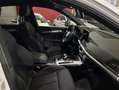 Audi Q5 Todoterreno Automático de 5 Puertas Blanco - thumbnail 9