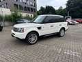 Land Rover Range Rover Sport V6 TD S 1 Hand Weiß - thumbnail 1