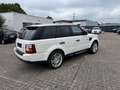 Land Rover Range Rover Sport V6 TD S 1 Hand Weiß - thumbnail 6