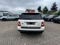 Land Rover Range Rover Sport V6 TD S 1 Hand Weiß - thumbnail 7