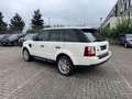 Land Rover Range Rover Sport V6 TD S 1 Hand Weiß - thumbnail 5