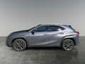 Lexus UX 250h LEXUS 2,0 UX250H F-SPORT 4x4 Luxury- Premiumpaket Grau - thumbnail 2
