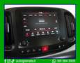 Fiat 500L 1.3 Mjt Cross 95cv Carplay+Android Bianco - thumbnail 13