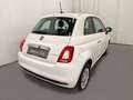 Fiat 500 FireFly Hybrid 70 Cult Bianco - thumbnail 2