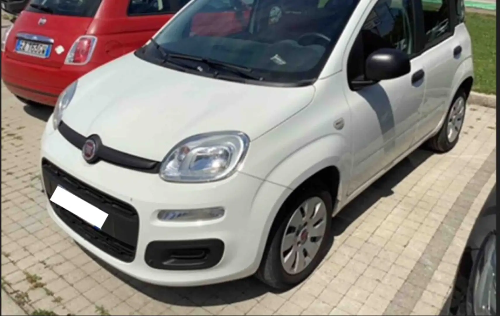 Fiat New Panda Panda 1.2 Pop Bianco - 1