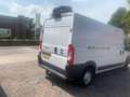 Fiat Ducato 35H 2.3 MultiJet L3H2 euro 6 Wit - thumbnail 7