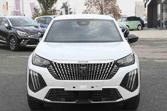 Peugeot 2008 view 16