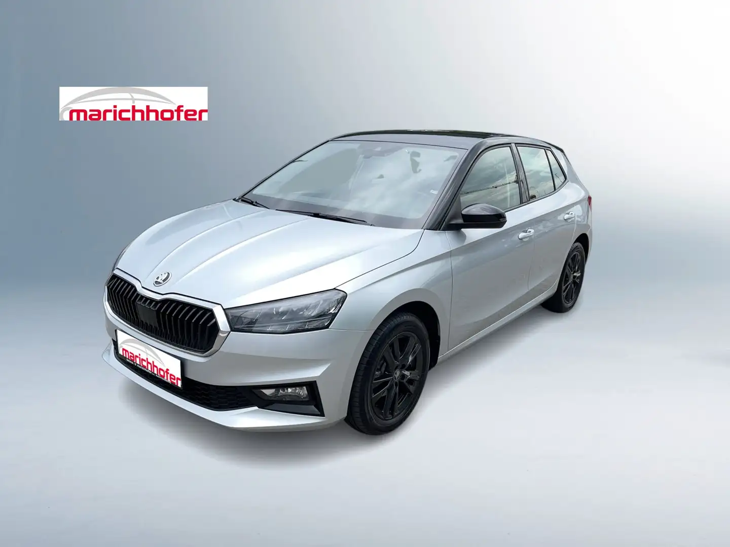 Skoda Fabia Ambition Silber - 1