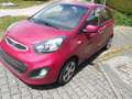 Kia Picanto Edition 7~ Unfall Rojo - thumbnail 4