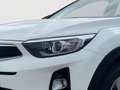 Kia Stonic 1.2 Silber | Werksgarantie | Pickerl Neu Blanc - thumbnail 13