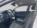 Kia Stonic 1.2 Silber | Werksgarantie | Pickerl Neu Blanc - thumbnail 16