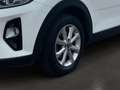 Kia Stonic 1.2 Silber | Werksgarantie | Pickerl Neu Blanc - thumbnail 14
